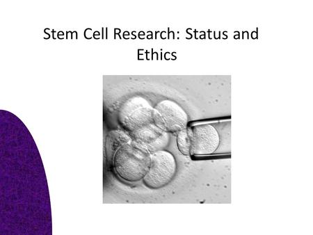 Stem Cell Research: Status and Ethics. Task 1: Key definitions Pluripotent – Embryonic stem cell – Differentiated -