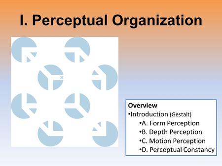 I. Perceptual Organization Overview Introduction (Gestalt) A. Form Perception B. Depth Perception C. Motion Perception D. Perceptual Constancy.
