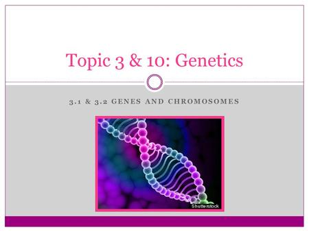3.1 & 3.2 GENES AND CHROMOSOMES Topic 3 & 10: Genetics.