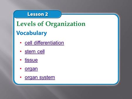 cell differentiation stem cell tissue organ organ system Levels of Organization.