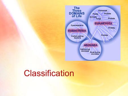 Classification. Cell Types Cells come in all types of shapes and sizes. Cell Membrane – cells are surrounded by a thin flexible layer Also known as a.