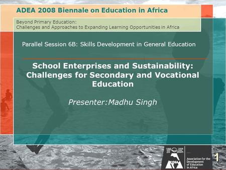 Beyond Primary Education: Challenges of and Approaches to Expanding Learning Opportunities in AfricaAssociation for the Development of Education in Africa.