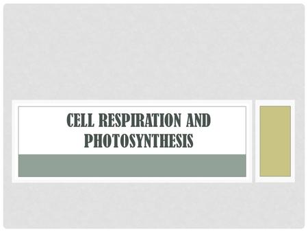 CELL RESPIRATION AND PHOTOSYNTHESIS. CELL RESPIRATION O 2 + C 6 H 12 O 6  CO 2 + H 2 O +(ENERGY) Yeast With and without O 2 Cell respiration CO 2 comes.