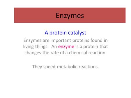 Enzymes A protein catalyst Enzymes are important proteins found in living things. An enzyme is a protein that changes the rate of a chemical reaction.