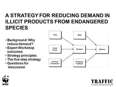 A STRATEGY FOR REDUCING DEMAND IN ILLICIT PRODUCTS FROM ENDANGERED SPECIES Background: Why reduce demand? Expert Workshop outcomes Strategy principles.