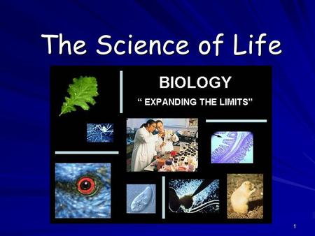 1 The Science of Life. 2 What is Biology? Biology is the study of all living things Living things are called organisms Living things are called organisms.