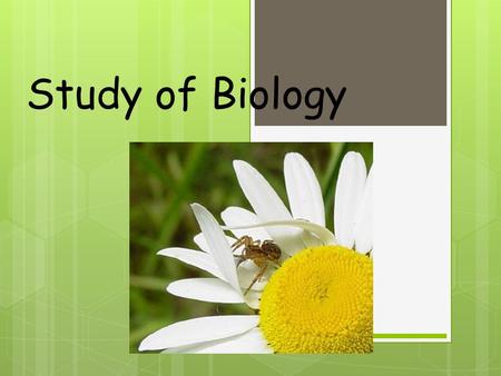 Study of Biology 1. What is Biology? Biology Living things are called Organisms include 2.