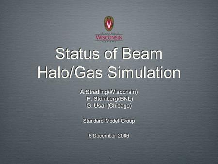 Status of Beam Halo/Gas Simulation A.Stradling(Wisconsin) P. Steinberg(BNL) G. Usai (Chicago) Standard Model Group 6 December 2006 A.Stradling(Wisconsin)