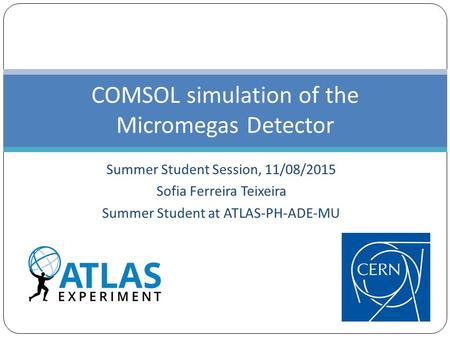 Summer Student Session, 11/08/2015 Sofia Ferreira Teixeira Summer Student at ATLAS-PH-ADE-MU COMSOL simulation of the Micromegas Detector.