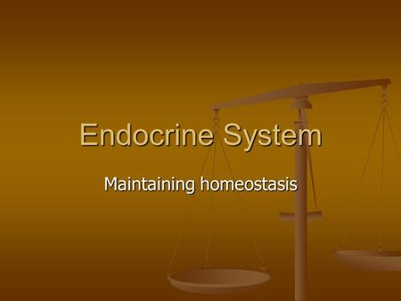Endocrine System Maintaining homeostasis. The Importance of the Endocrine System The body is composed of trillions of cells The body is composed of trillions.