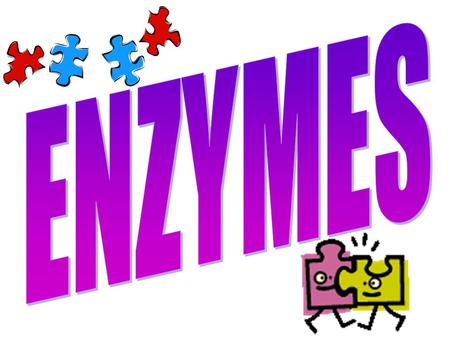 What’s an Enzyme? 1.Enzymes are proteins. 2.Enzymes are catalysts. Catalysts speed up chemical reactions End in –ase (Ex: sucrase, catalase) Without.