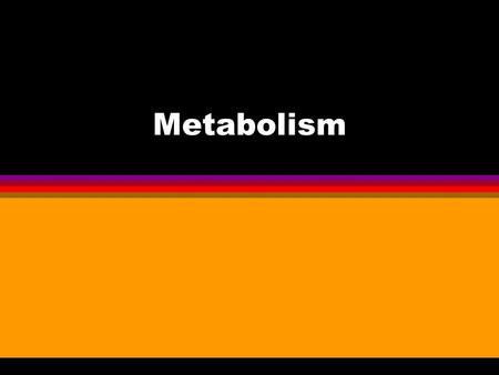 Metabolism.