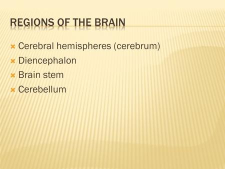  Cerebral hemispheres (cerebrum)  Diencephalon  Brain stem  Cerebellum.