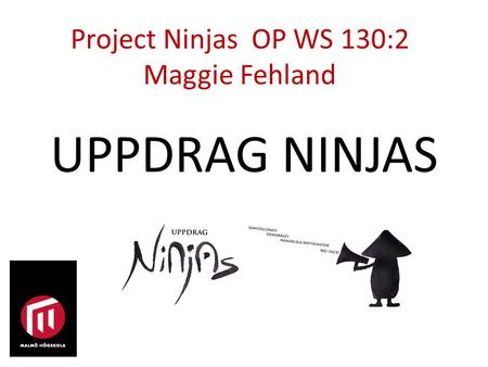 UPPDRAG NINJAS Project Ninjas OP WS 130:2 Maggie Fehland.