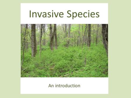 Invasive Species An introduction.