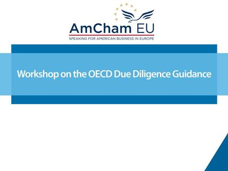 The OECD Due Diligence Guidance for Responsible Supply Chains of Minerals and its implementation programme American Chamber of Commerce to the European.