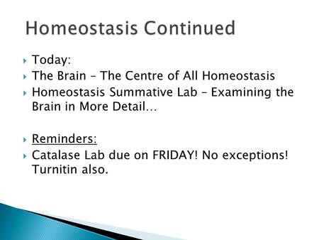 Today:  The Brain – The Centre of All Homeostasis  Homeostasis Summative Lab – Examining the Brain in More Detail…  Reminders:  Catalase Lab due.