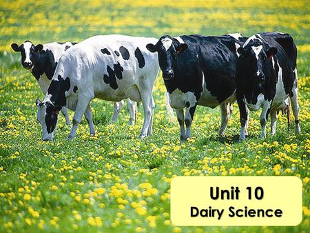 Unit 10 Dairy Science.