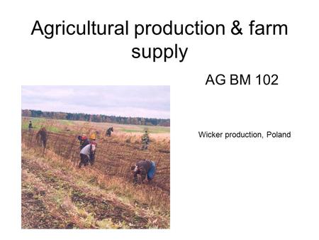 Agricultural production & farm supply AG BM 102 Wicker production, Poland.