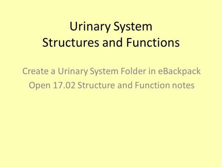 Urinary System Structures and Functions Create a Urinary System Folder in eBackpack Open 17.02 Structure and Function notes.