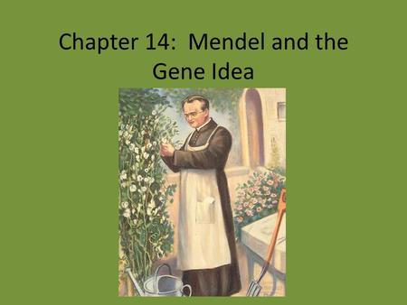Chapter 14: Mendel and the Gene Idea. Genetic Terminology Character – Trait True-breeding Hybridization – P generation – F 1 generation – F 2 generation.