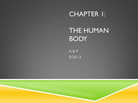 CHAPTER 1: THE HUMAN BODY A & P 8/20/13. ANATOMY  The study of the Structure and Shapes of the body and their relationships to one another. Gross Anatomy: