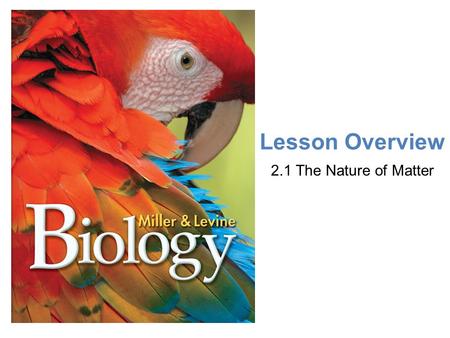 Lesson Overview The Nature of Matter Lesson Overview 2.1 The Nature of Matter.