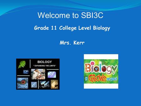 Grade 11 College Level Biology Mrs. Kerr