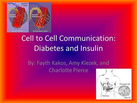 Cell to Cell Communication: Diabetes and Insulin By: Fayth Kakos, Amy Klezek, and Charlotte Pierce.