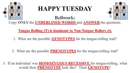 HAPPY TUESDAY Bellwork: Copy ONLY the UNDERLINED WORDS and ANSWER the questions. Tongue Rolling (T) is dominant to Non-Tongue Rollers (t). 1. What are.