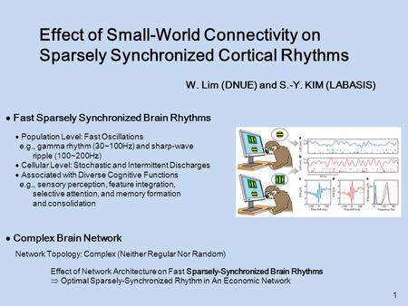 Effect of Small-World Connectivity on Sparsely Synchronized Cortical Rhythms W. Lim (DNUE) and S.-Y. KIM (LABASIS)  Fast Sparsely Synchronized Brain Rhythms.