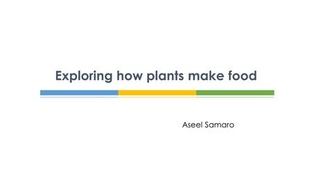 Exploring how plants make food