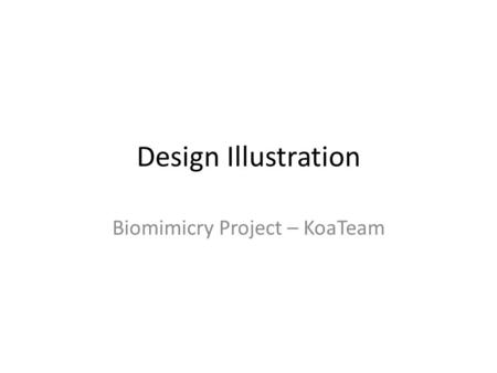 Design Illustration Biomimicry Project – KoaTeam.