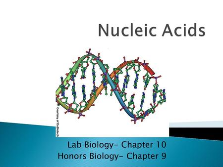 Lab Biology- Chapter 10 Honors Biology- Chapter 9.