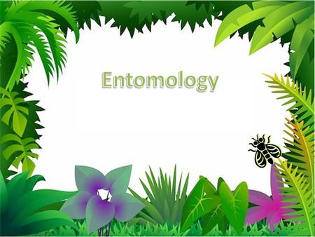 Entomology is the branch of zoology concerned with the study of insects.