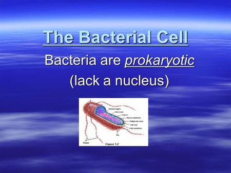 The Bacterial Cell Bacteria are prokaryotic (lack a nucleus)