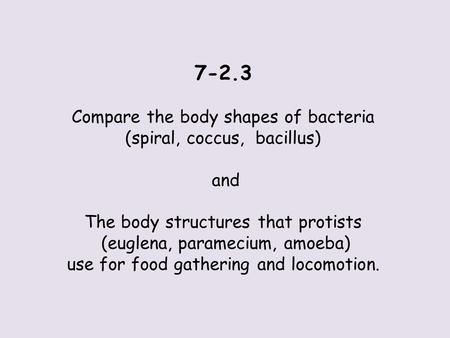7-2.3 Compare the body shapes of bacteria (spiral, coccus, bacillus)