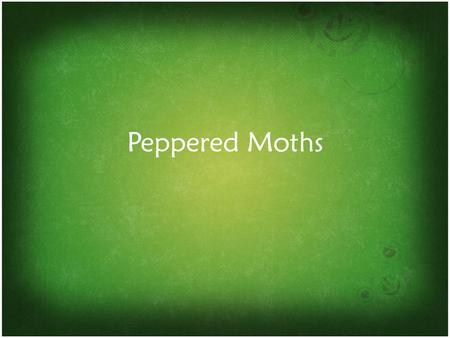 Peppered Moths. Peppered Moths 4-23-13 Key Question: Explain how adaptations work. What are they and where do they come from? Initial Thoughts: