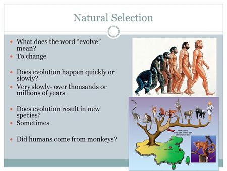 Natural Selection What does the word “evolve” mean? To change