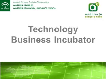 Technology Business Incubator. WHO WE ARE? The mission of the Technological Business Incubator (TBI) is to host Technology- Based Innovative Enterprises.