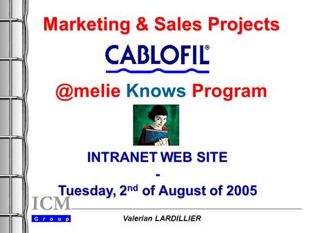 Marketing & Sales Projects Marketing & Sales Knows Program INTRANET WEB SITE - Tuesday, 2 nd of August of 2005 Valerian LARDILLIER.