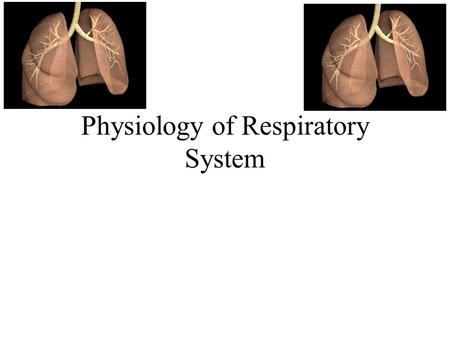 assignment on respiratory system ppt