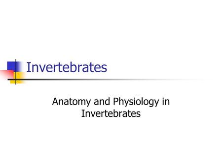 Anatomy and Physiology in Invertebrates