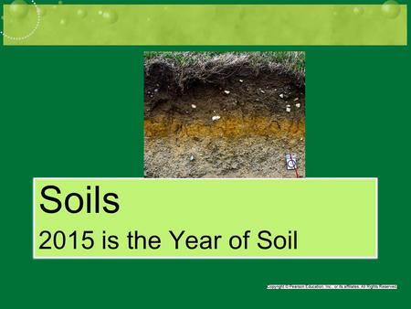 Soils 2015 is the Year of Soil Soils 2015 is the Year of Soil.
