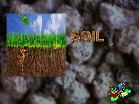 Soil is made of loose, weathered rock and organic material.