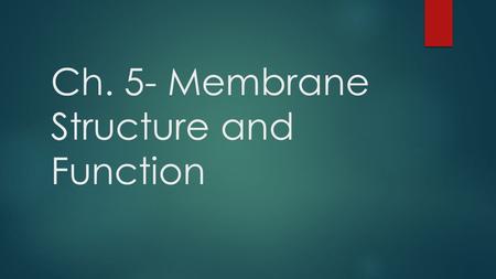 Ch. 5- Membrane Structure and Function. Components of the Plasma Membrane  Phospholipid bilayer  Protein Molecules that are either partially or wholly.