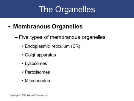 Copyright © 2010 Pearson Education, Inc. The Organelles Membranous Organelles –Five types of membranous organelles: Endoplasmic reticulum (ER) Golgi apparatus.