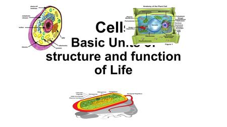 Cells Basic Units of structure and function of Life.