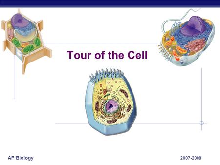 Tour of the Cell 2007-2008.