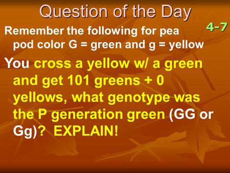 4-7 Question of the Day Remember the following for pea pod color G = green and g = yellow You cross a yellow w/ a green and get 101 greens + 0 yellows,